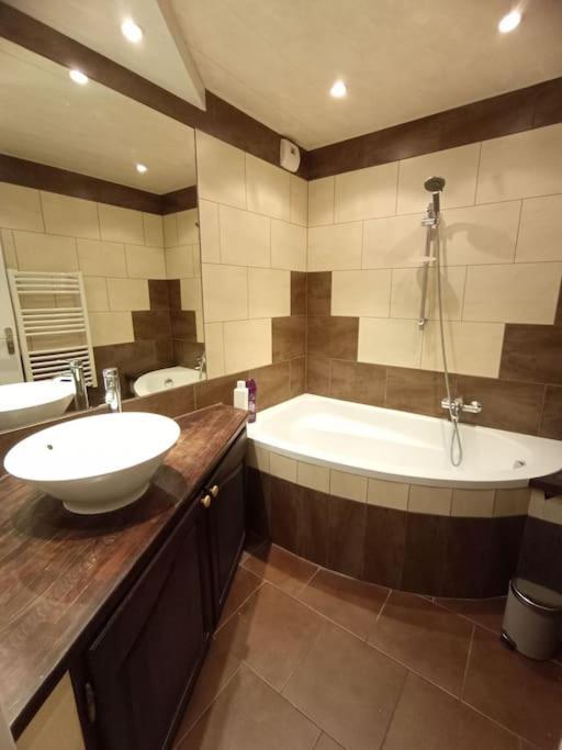 Large Family Apartment, Cdg, Paris & Disneyland Appartement