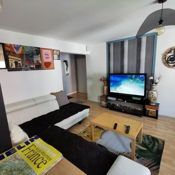 Large Family Apartment, Cdg, Paris & Disneyland *