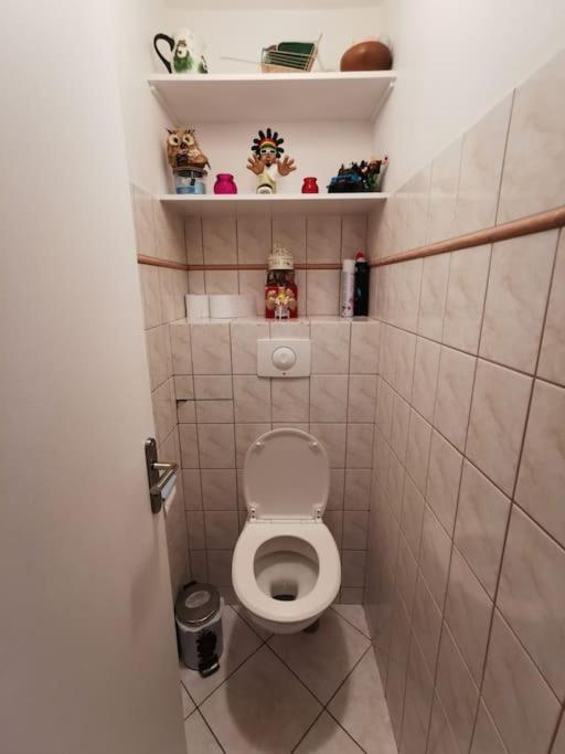 Large Family Apartment, Cdg, Paris & Disneyland Appartement